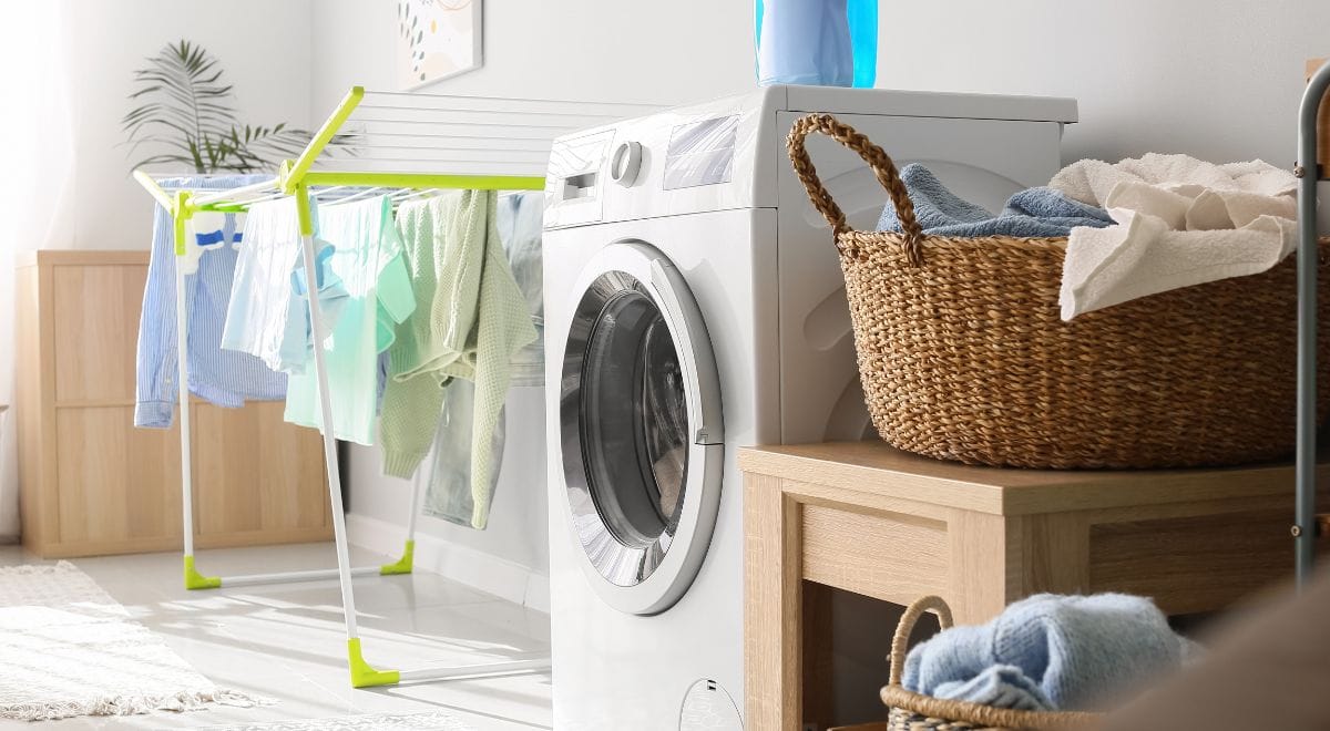 How Citrus Peel Bioenzymes Are Changing Modern Detergent Technology